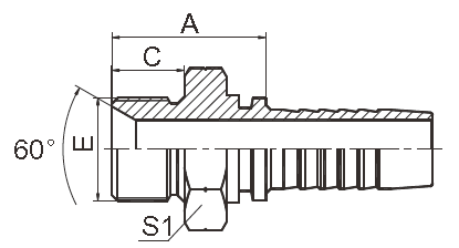 Colocaciones hidráulicas consolidadas del sello BSP, 2 cono Seat de las colocaciones 60° de Bsp de la pulgada